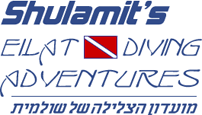 Shulamit's Eilat Diving Adventures